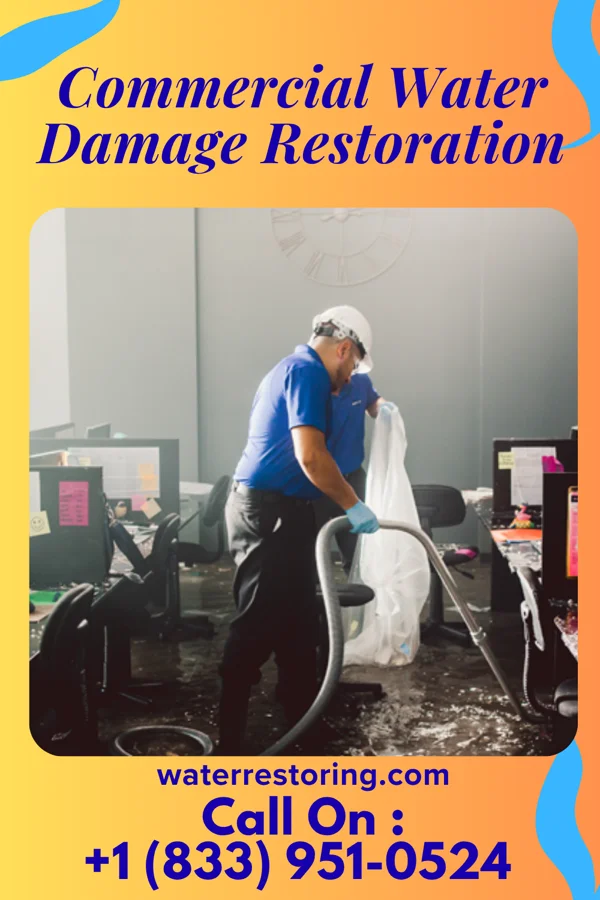 Commercial Water Damage Restoration in Dillon, CO